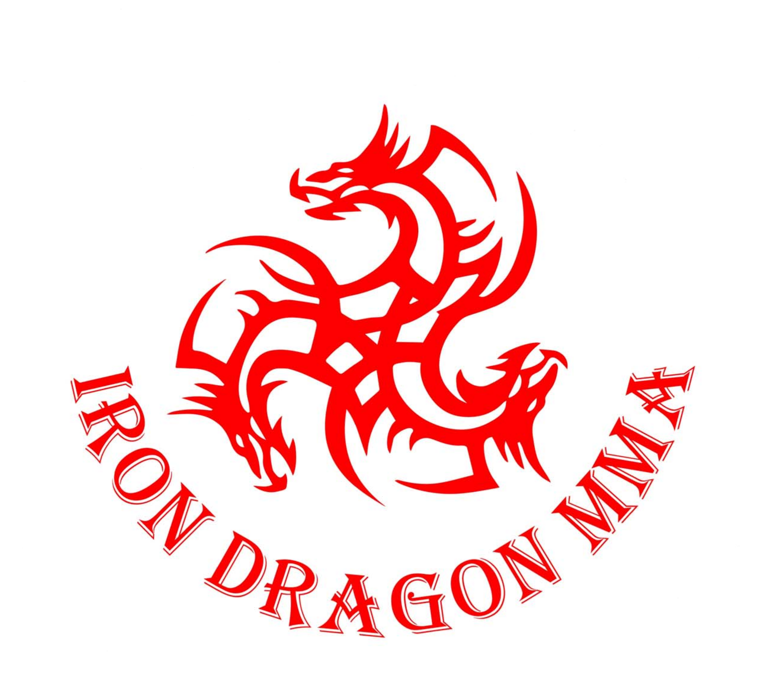 Iron Dragon MMA Full Logo