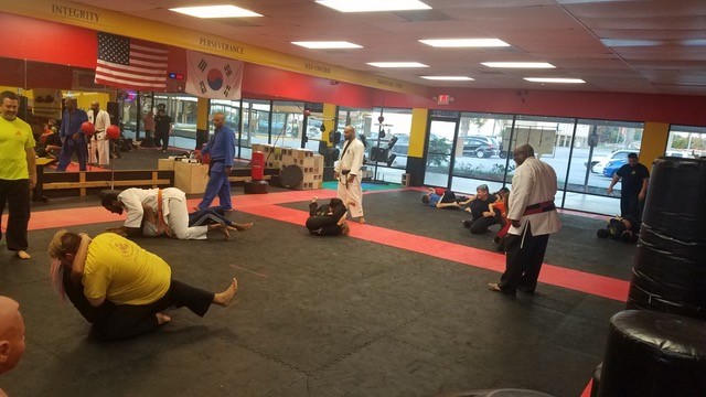 Ju-Jutsu Seminar 2019