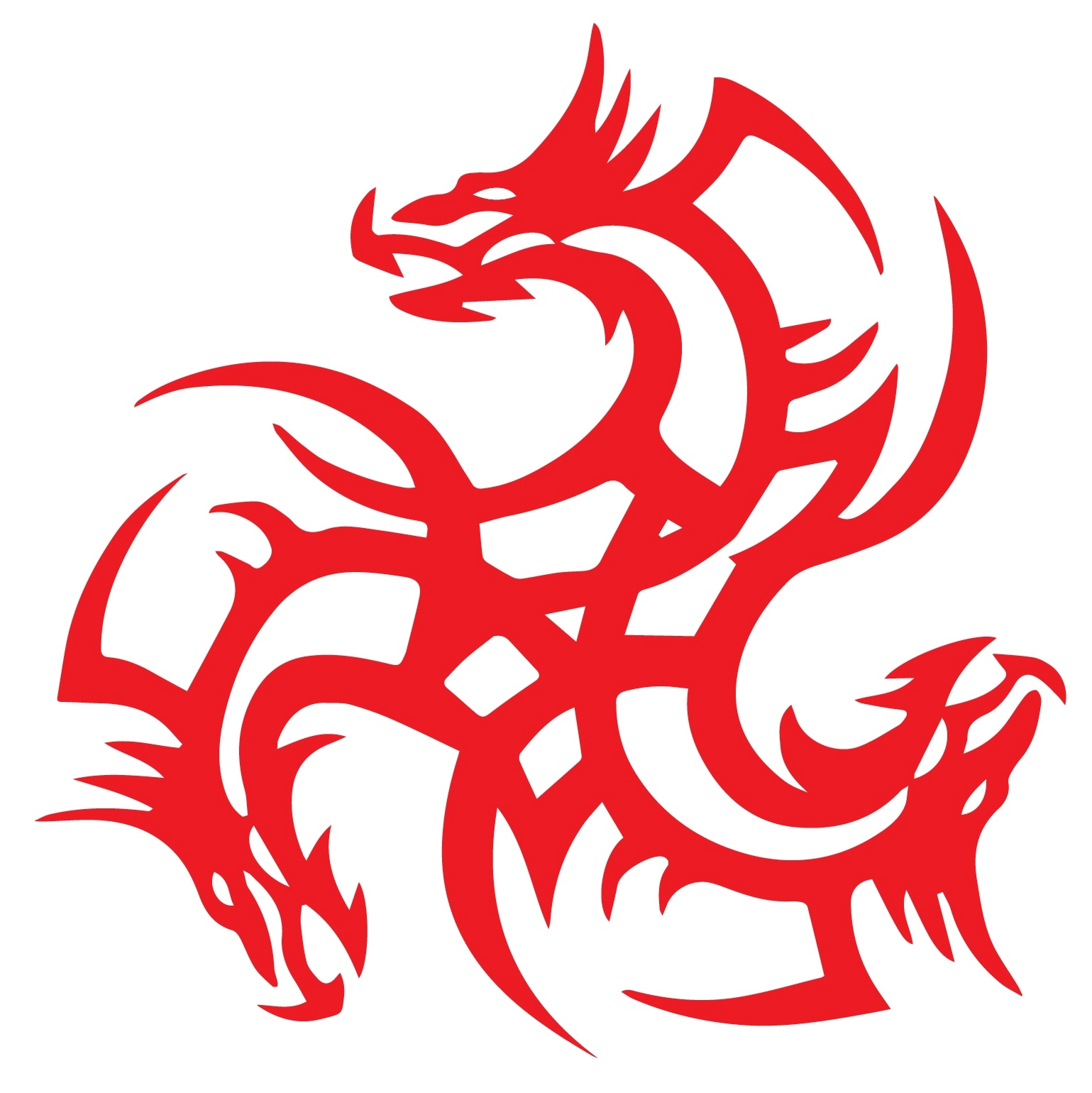 Iron Dragon MMA